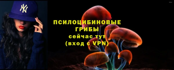 ECSTASY Балахна
