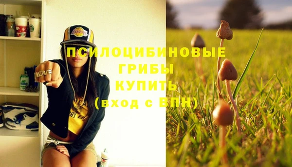 ECSTASY Балахна