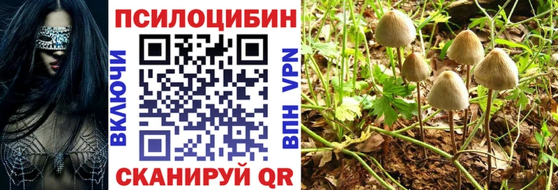 даркнет клад  Новый Оскол  Псилоцибиновые грибы мухоморы  hydra tor 